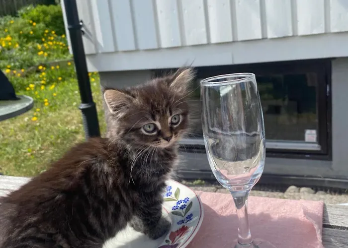 Appartement Nordstrand And Garden *